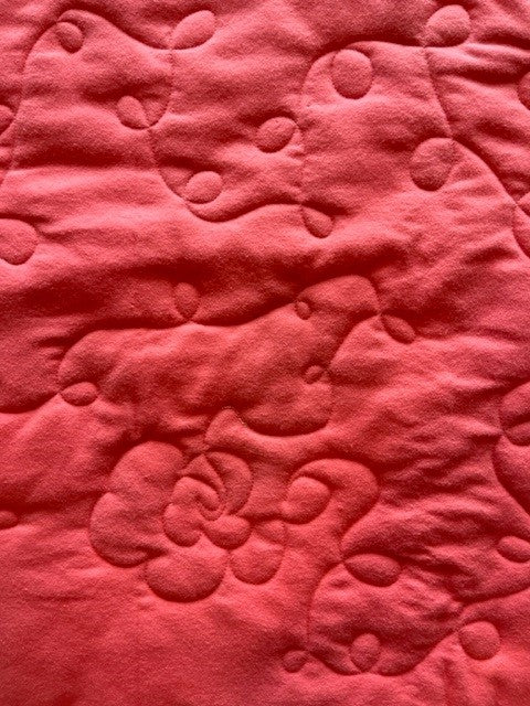"Desert Blooms" Baby Quilt